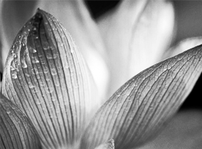 在线短信呼死你