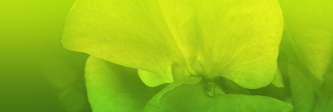 快速响应触控的网络短信呼叫软件虚拟号码